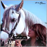 ������ ������� ������